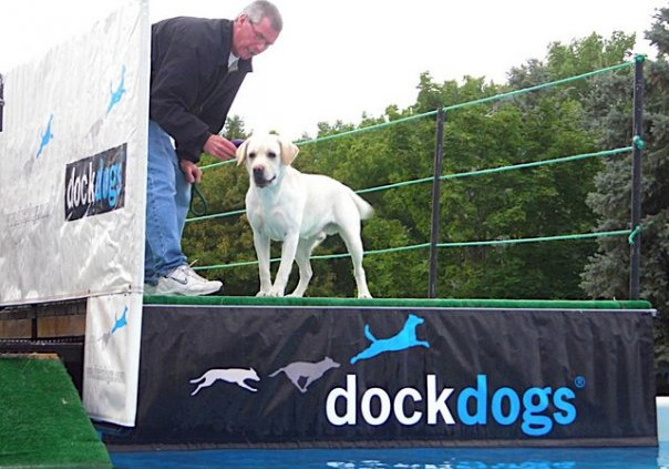 McKilt Trey Dock Dogs